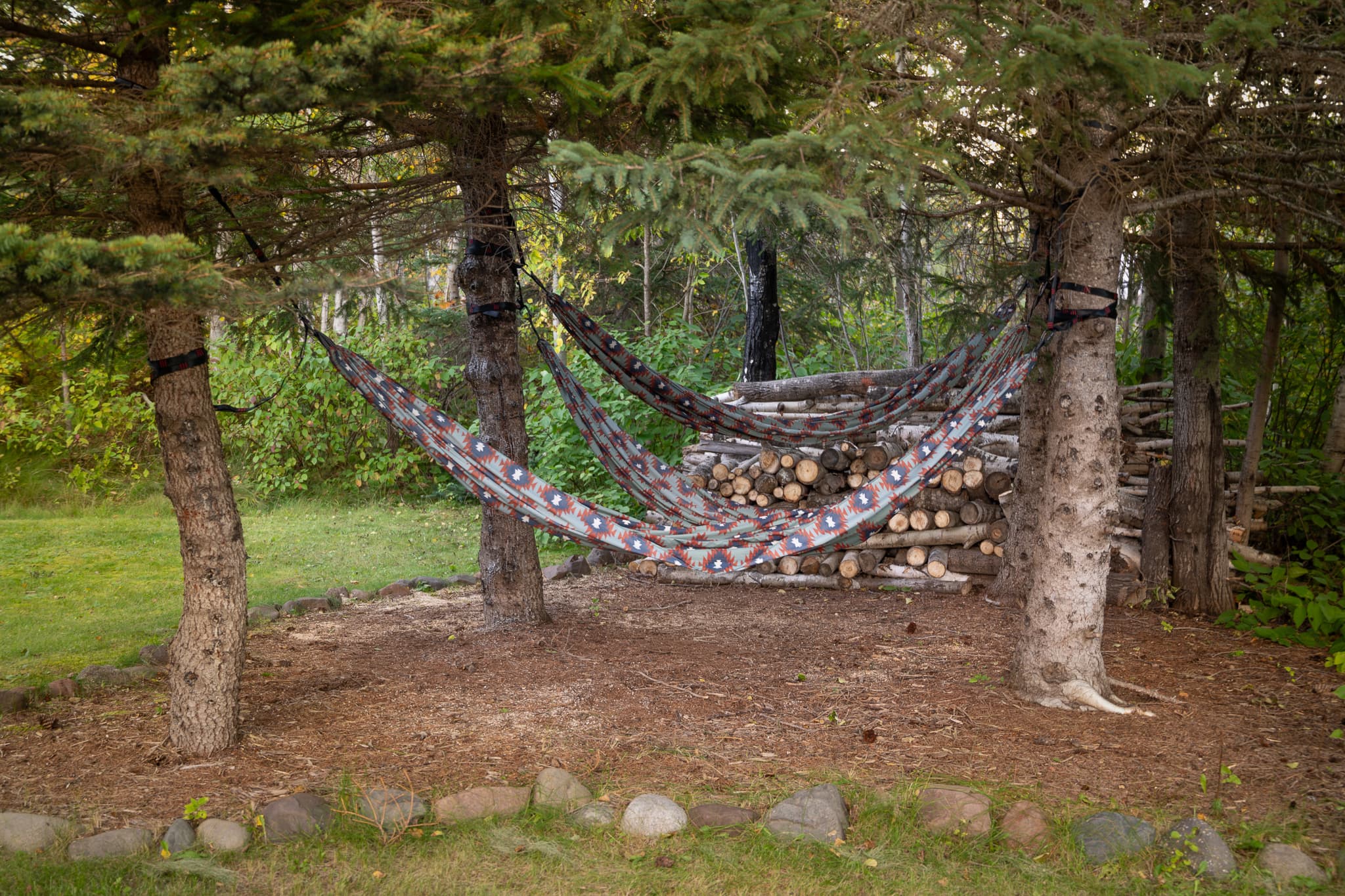 Hammocks — relax under the pines